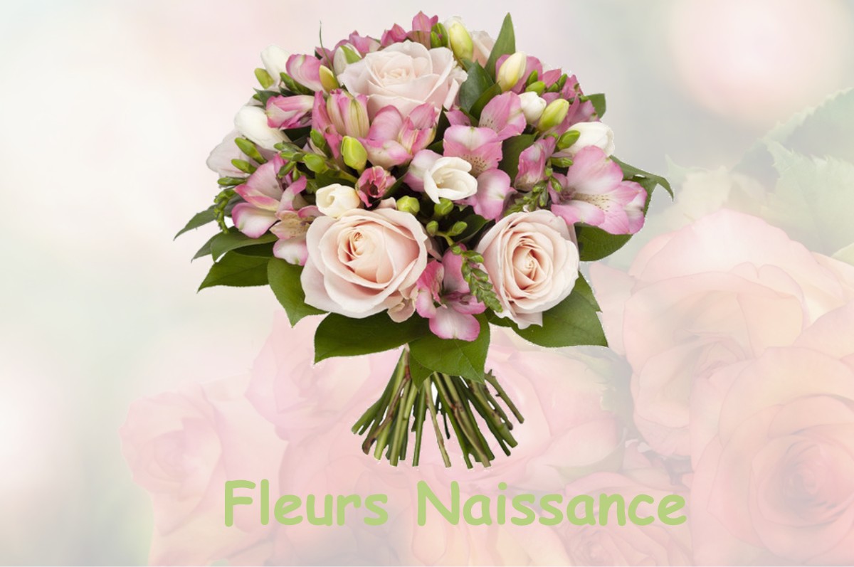 fleurs naissance CHAILLAND